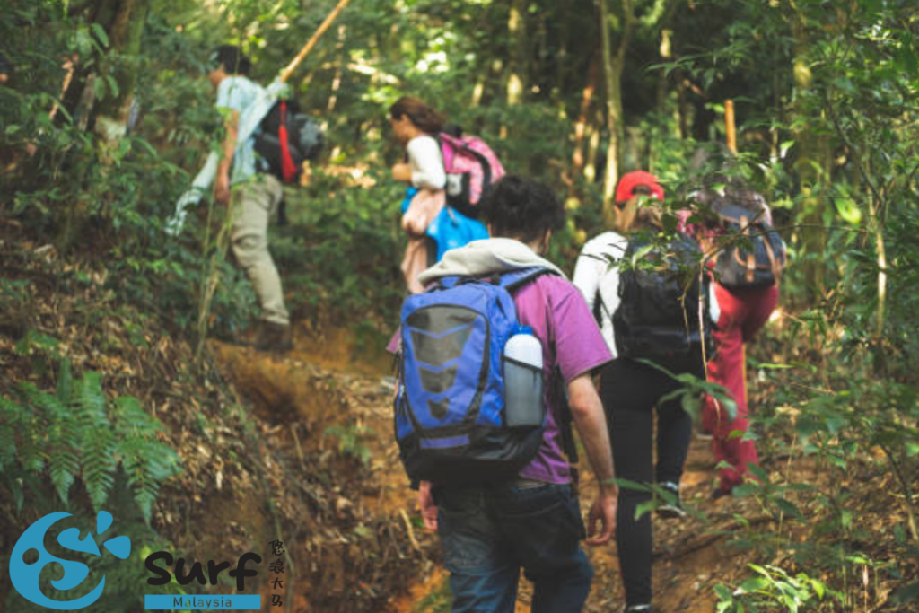 Jungle Trekking Spots in Malaysia